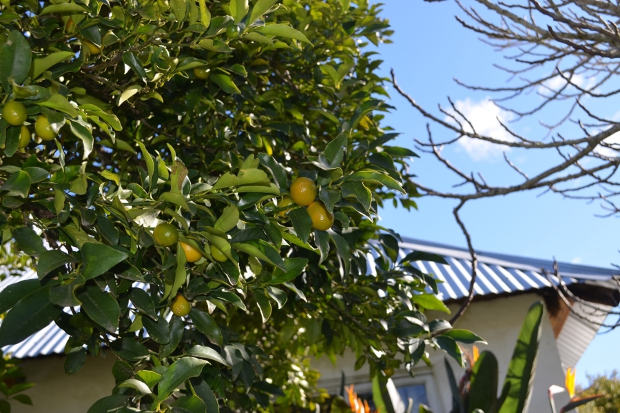 0 Bedroom Property for Sale in Herbertsdale Western Cape